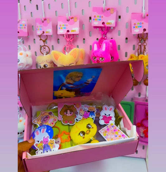 Straykids caja surtida Grupo